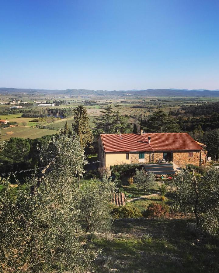Podere Baloo Suvereto Kültér fotó