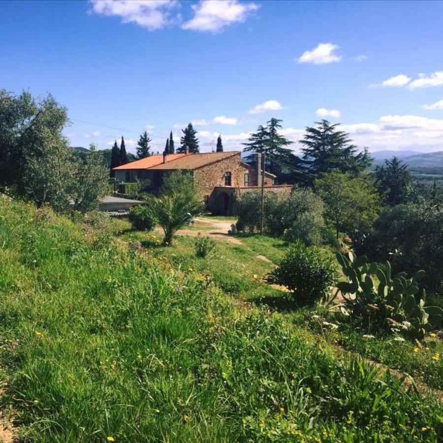 Podere Baloo Suvereto Kültér fotó